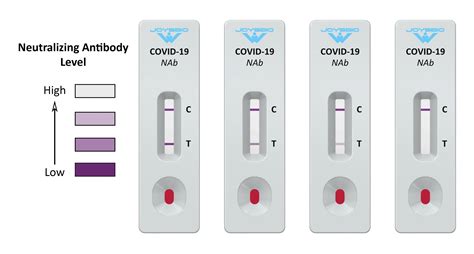 They are less accurate than PCR tests, which is. . Vertical line on covid test